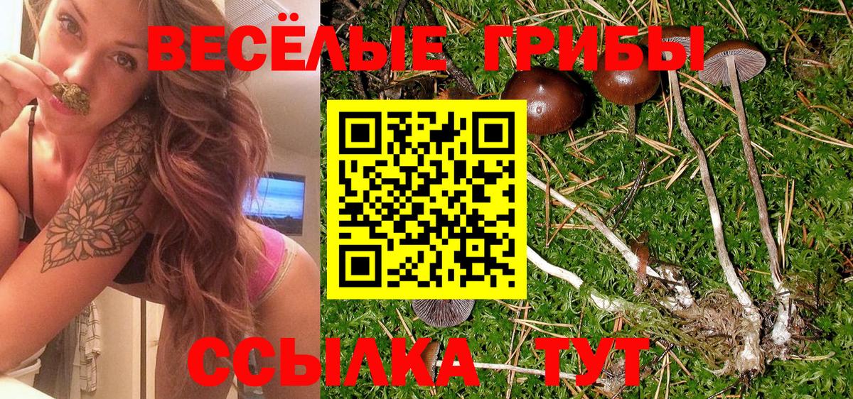 Сочи  Псилоцибиновые грибы Magic Shrooms  Вход с VPN  Псилоцибиновые грибы MAGIC MUSHROOMS 